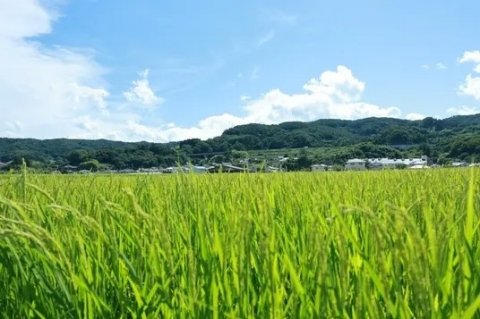 ゆうきや、令和8年度産米から農家と価格を定める「固定価格」を導入