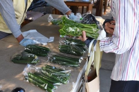 農家直販・EC・道の駅、どこが向いている？ JA以外の販売方法を手数料・手間・利益・リピーターで比較