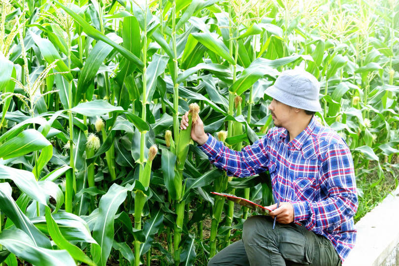 Jgap Asiagap とは 東京五輪で懸念される国産食材の立場 農業とitの未来メディア Smart Agri スマートアグリ