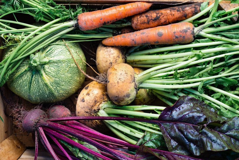 オーガニック野菜 有機野菜 無農薬野菜 はどう違うのか 農業とitの未来メディア Smart Agri スマートアグリ