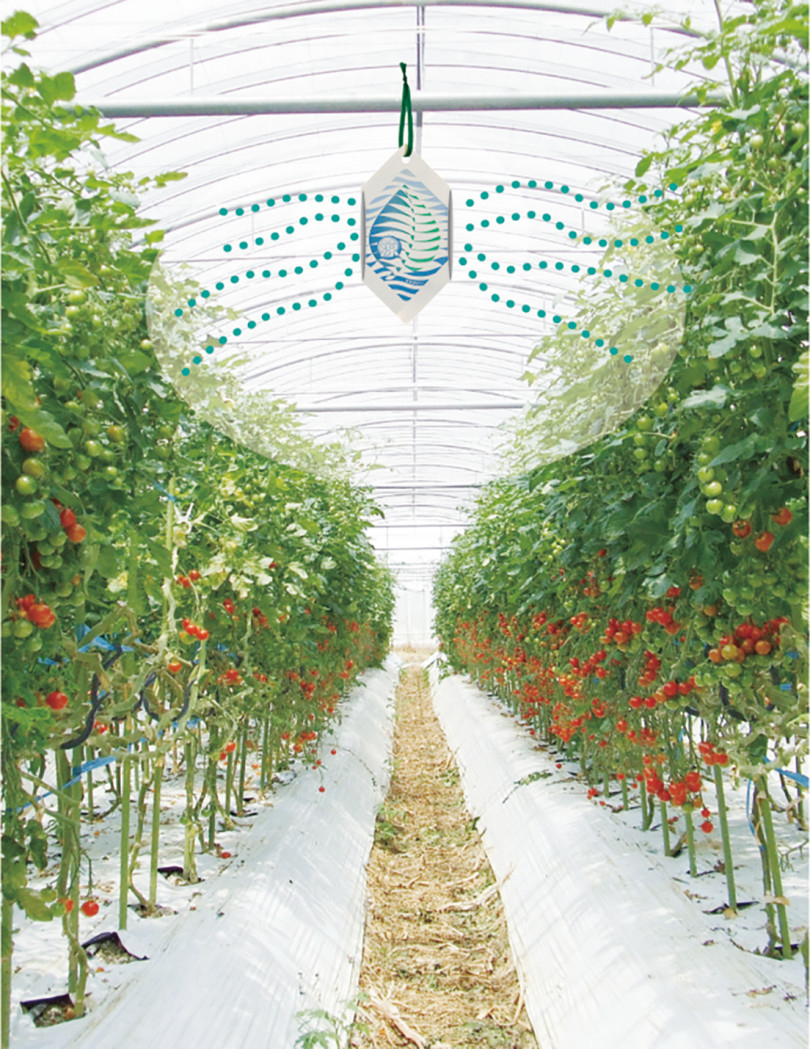 緑の香り”で農作物を高温から守る資材「すずみどり」が農芸化学技術賞を受賞 | 農業とITの未来メディア「SMART AGRI（スマートアグリ）」