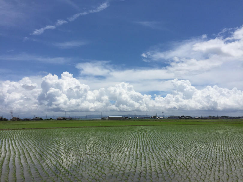 Farm Doi 21 大坪さんの農家コラム この時代に 農業 するということ 農業とitの未来メディア Smart Agri スマートアグリ