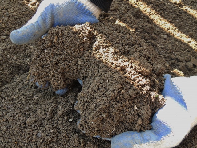 Agri Pick連携企画 堆肥とは 種類別の作り方 効果 使い方総まとめ 動物性堆肥編 農業とitの未来メディア Smart Agri スマートアグリ