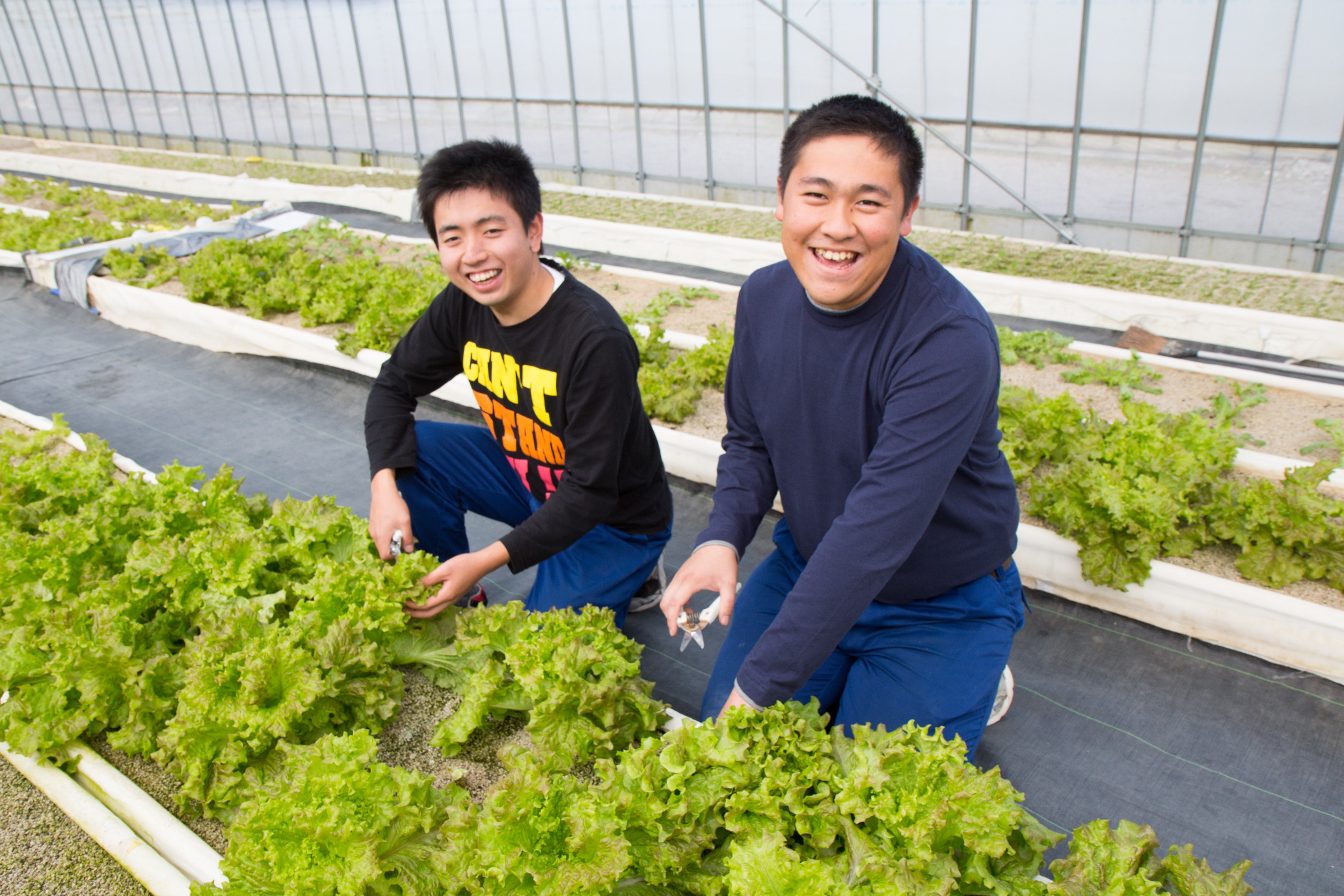新京成電鉄が協力 「ソーシャルファーム わーくはぴねす農園 八千代」が2019年9月に開園 農業とITの未来メディア「SMART AGRI（スマートアグリ）」
