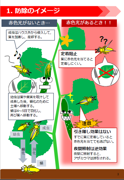 減農薬と抵抗性害虫の防除を目指す 赤色ledによるアザミウマ類防除マニュアル 公開 農業とitの未来メディア Smart Agri スマートアグリ