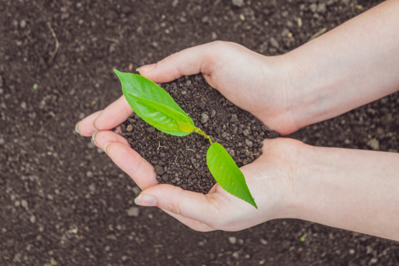 研究者たちはなぜいま 土壌保全基本法 を起草したのか 土壌学 環境学からの警鐘 農業とitの未来メディア Smart Agri スマートアグリ