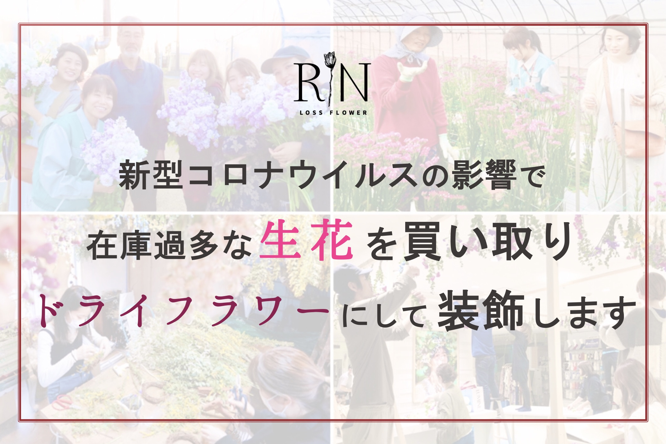 新型コロナの影響で在庫過多な生花を ドライフラワー化する取り組みがスタート 農業とitの未来メディア Smart Agri スマートアグリ