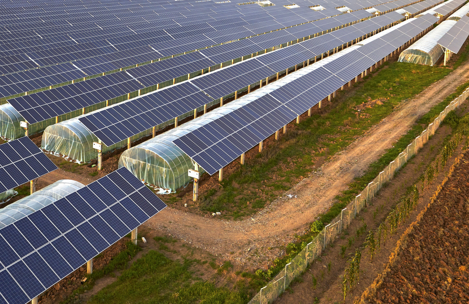 農業における ソーラーシェアリング とは 農業 エネルギー双方の課題解決のための期待 農業とitの未来メディア Smart Agri スマートアグリ