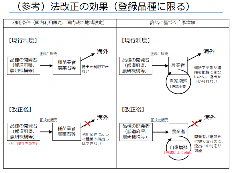 歯止めが利かない日本種苗の海外流出の現実 種苗法改正を考える緊急連載 第3回 農業とitの未来メディア Smart Agri スマートアグリ