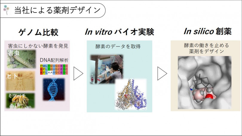 従来の農薬のイメージを変える 選択的な農薬 とは 株式会社アグロデザイン スタジオ 西ヶ谷有輝氏 後編 農業とitの未来メディア Smart Agri スマートアグリ