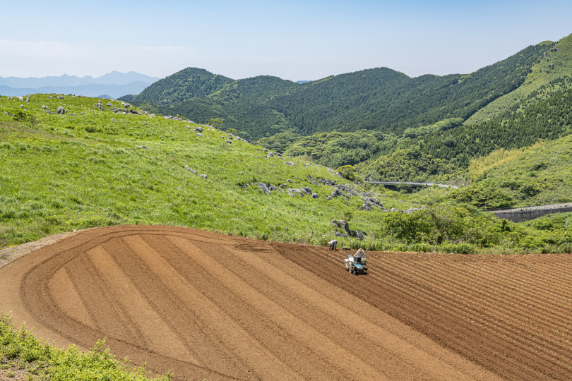 日本の農業は規模の経済が働きにくい 渡邊智之のスマート農業コラム 第16回 農業とitの未来メディア Smart Agri スマートアグリ