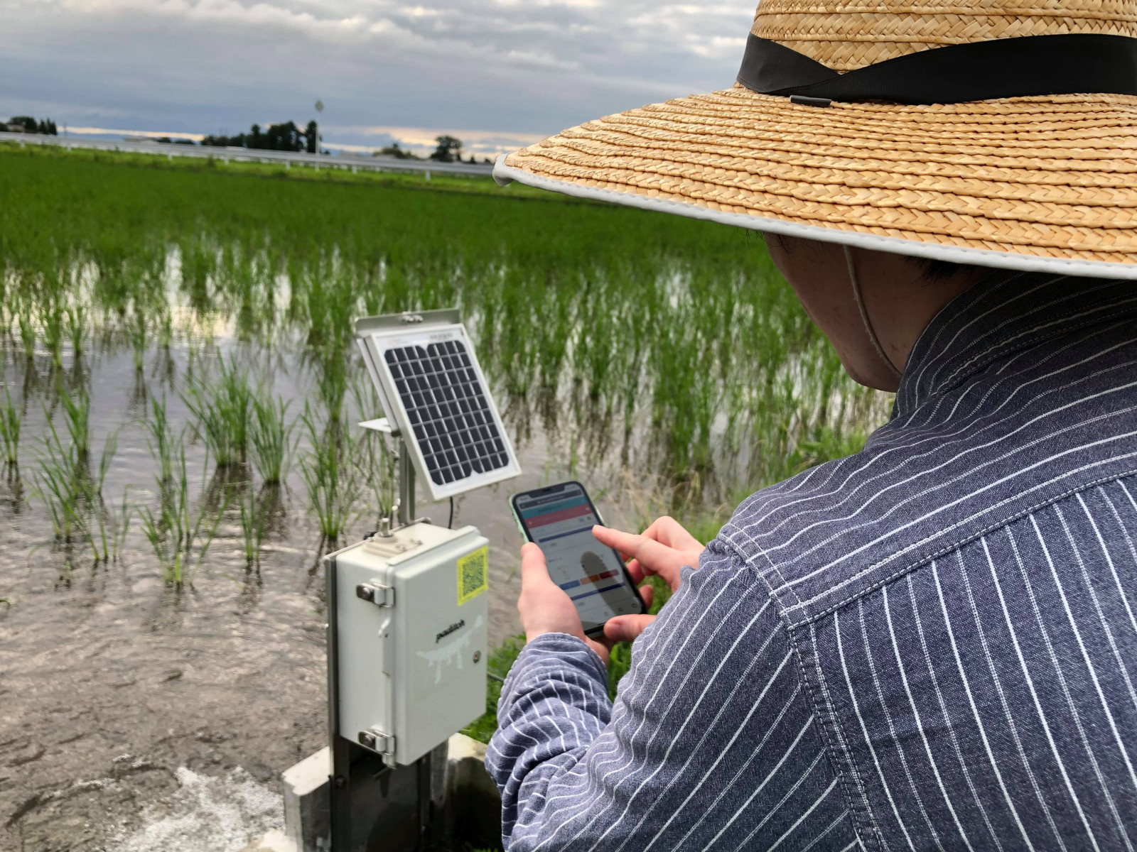 スマート水田サービス「paditch」がガラケーに対応 | 農業とITの未来