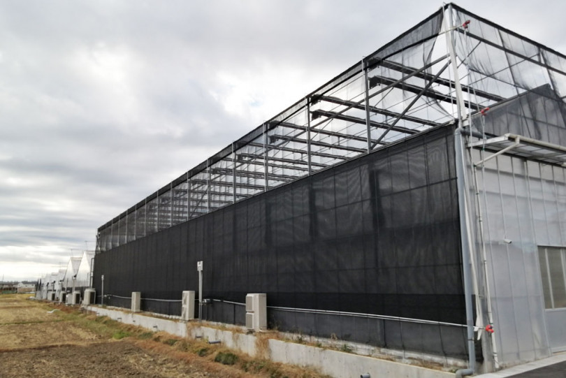 胡蝶蘭で冷房代を2割以上削減した 耐暑性ハウス の実効性 農業とitの未来メディア Smart Agri スマートアグリ