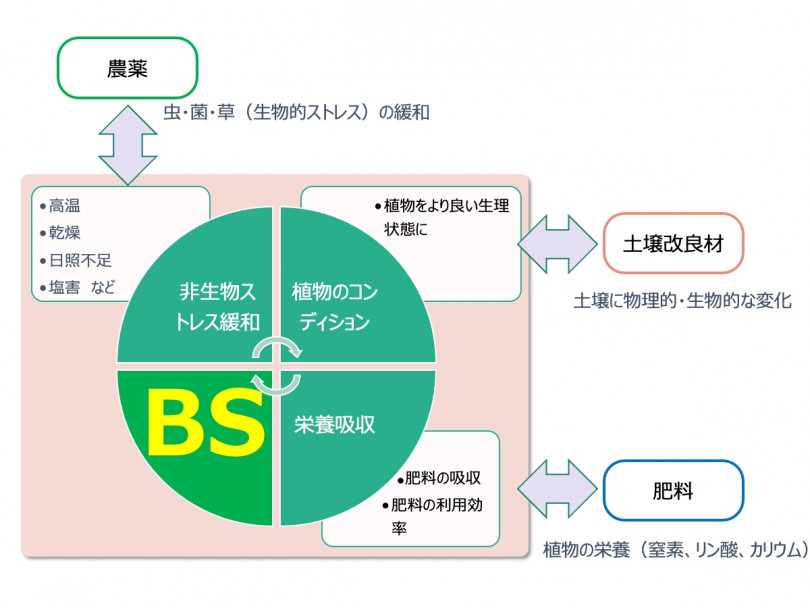 農業を支える新しい技術「バイオスティミュラント」とはいったい何なのか【前編】 | 農業とITの未来メディア「SMART AGRI（スマートアグリ）」