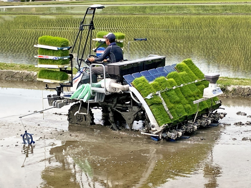 直進アシスト機能付き田植機は初心者でも簡単に使えるのか?【生産者目線でスマート農業を考える 第11回】 | 農業とITの未来メディア ...