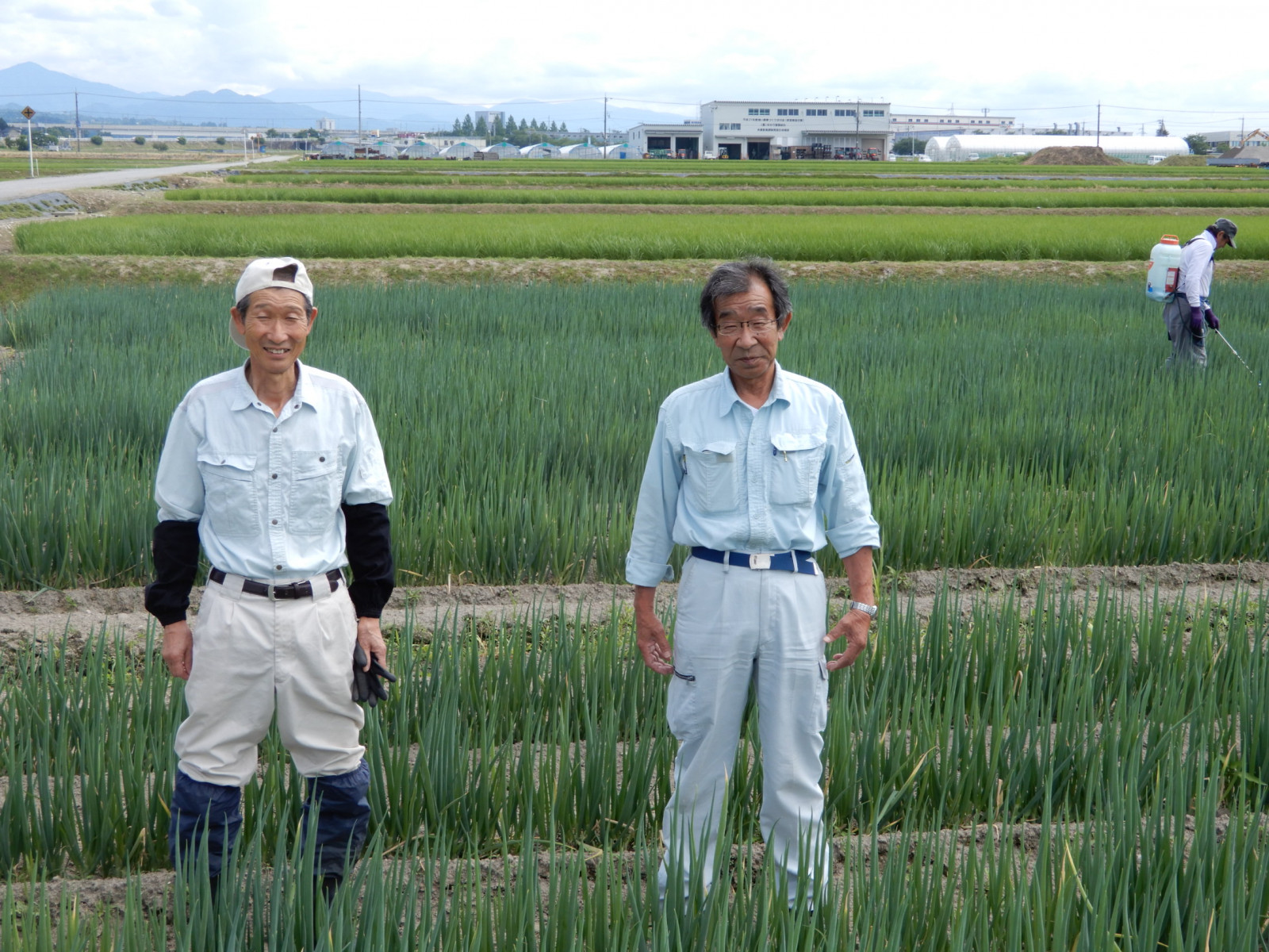 市場外流通と市場流通の連携を実現させた、農総研の取り組みとは