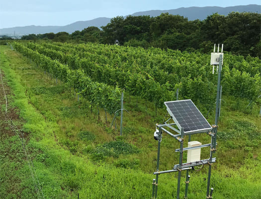 瀬戸農地さま専用 11/12～11/13】東日本支社展示会開催のお知らせ | MFM｜エム・エス