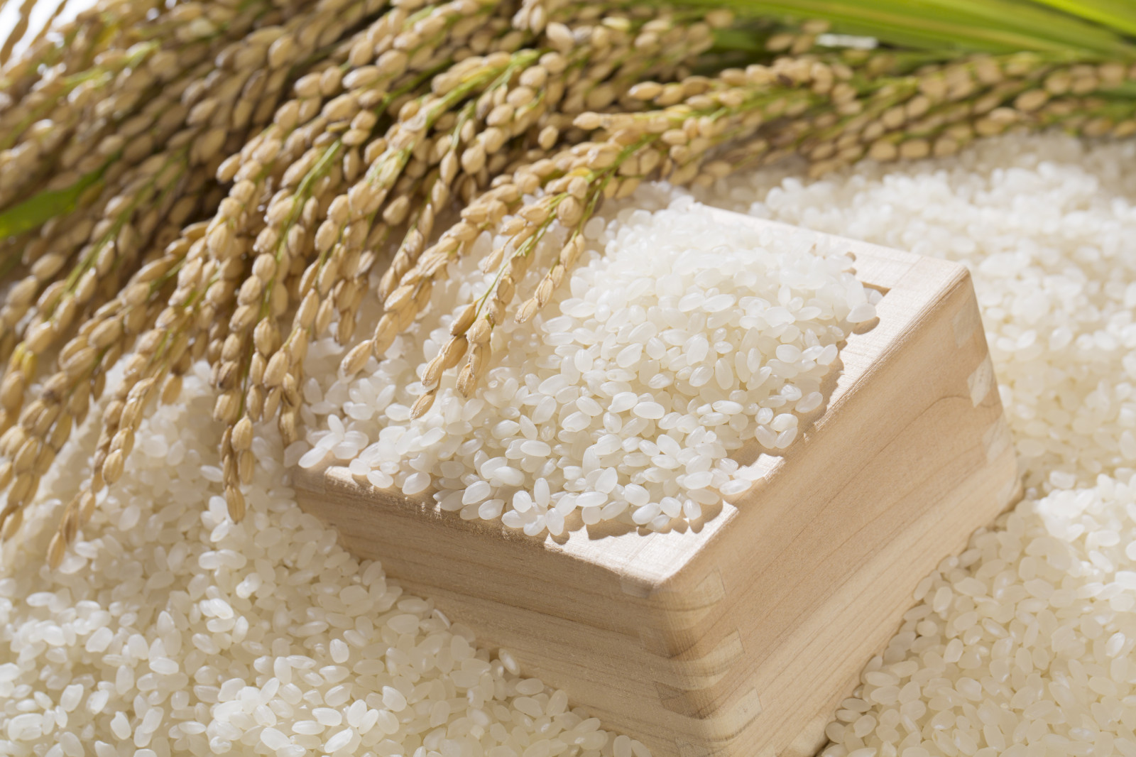 2022年注目のお米はこれ！ お米ランキング「特A」の銘柄を紹介 | 農業