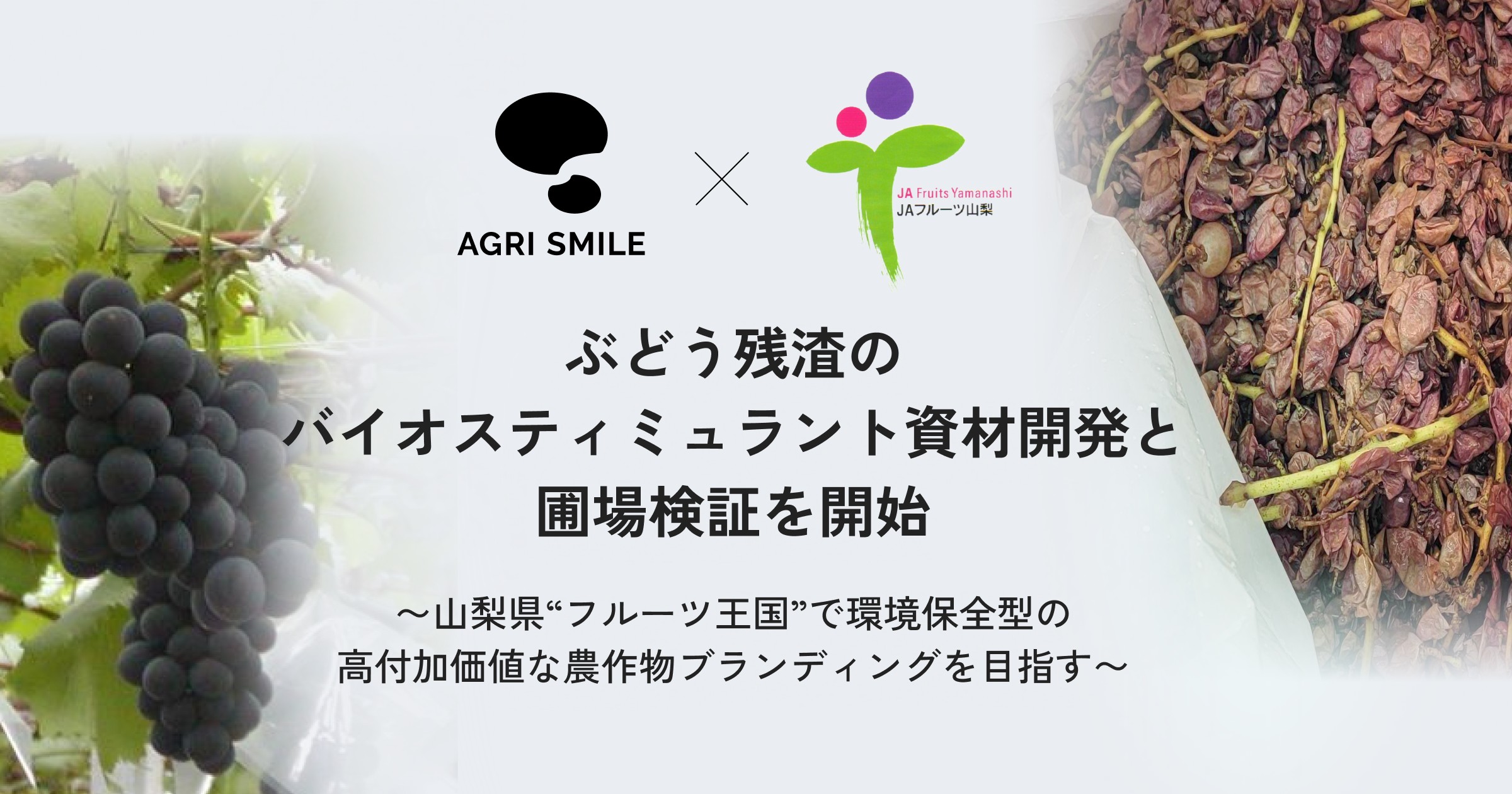 AGRI SMILEとJAフルーツ山梨、ぶどう残渣を活用したバイオスティ