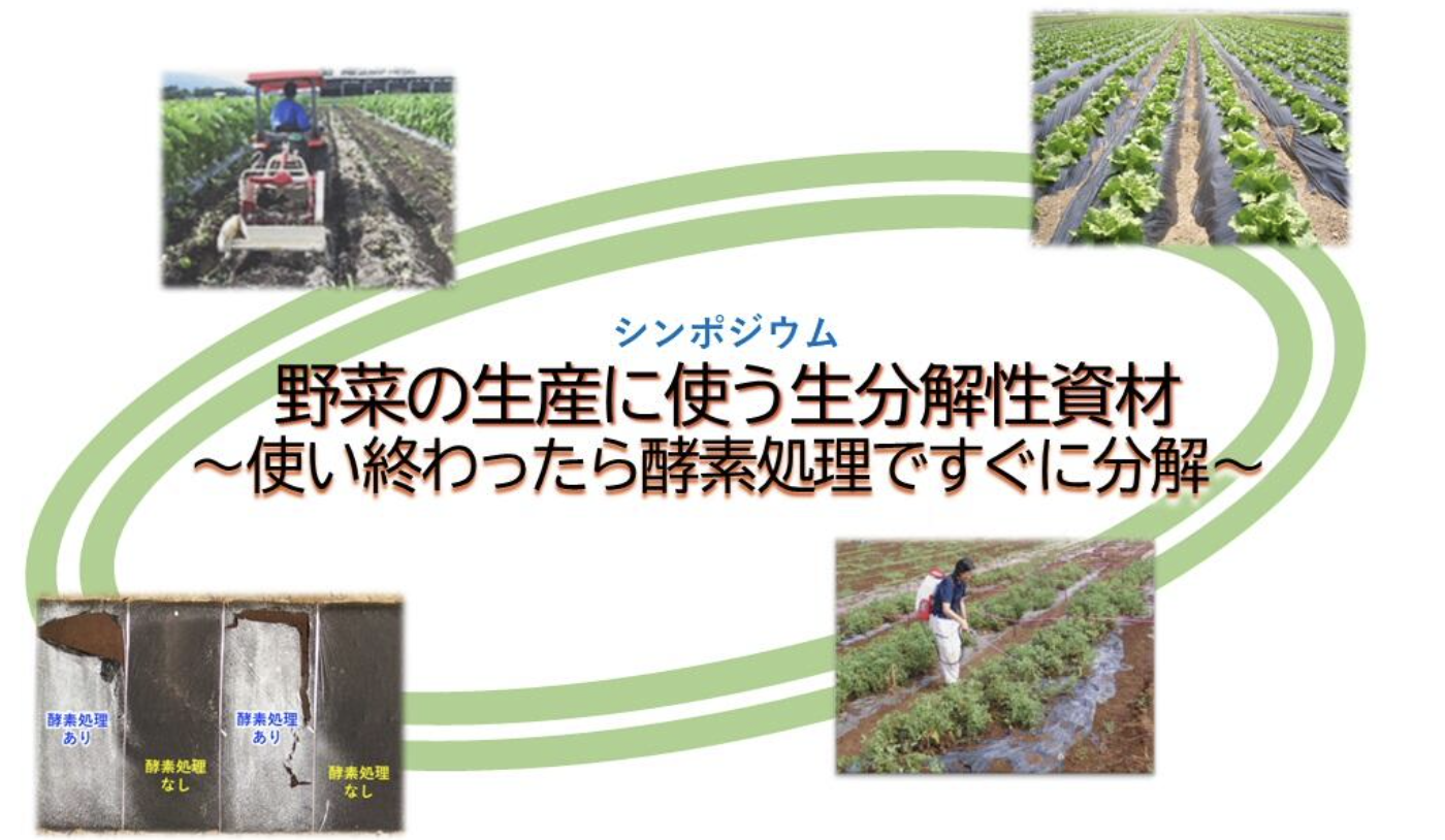 基本法見直しは日本農業再生の救世主たりうるか: 農政の新たな