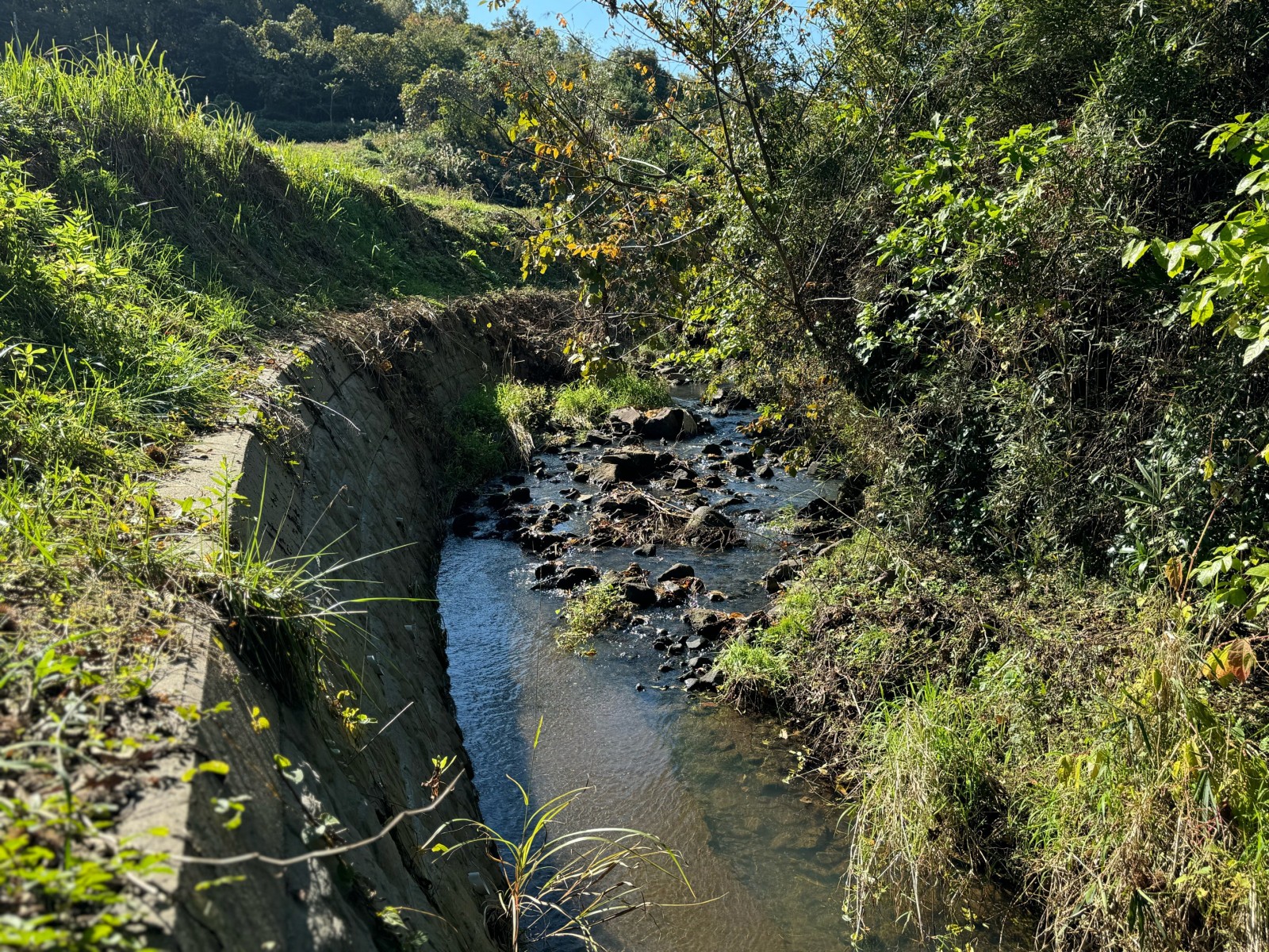 農家コラム】農家の嫁、55歳からの就農。想像以上に大変だった慣行栽培