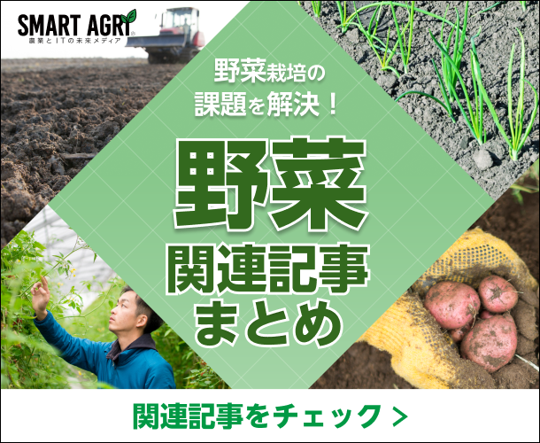 SMART AGRI_野菜関連記事まとめ（ネギ栽培のノウハウ集）