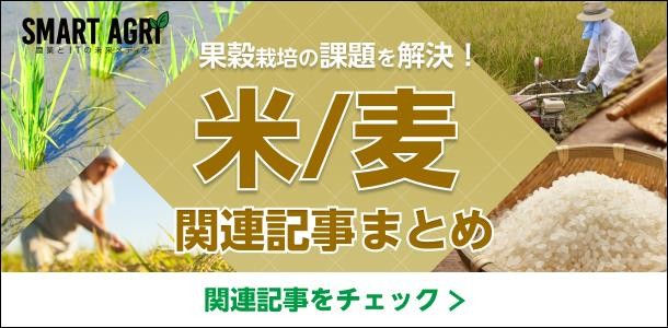 SMART AGRI_米/麦関連記事まとめ（水稲栽培のノウハウ集）