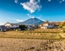 農地の貸し手と借り手をマッチングさせる「農地バンク」「全国農地ナビ」の課題