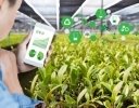 「スマート農業」とはどんなものか? AI・ロボット・ドローンを活用した農業のメリット・デメリットとは