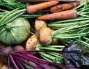 「無農薬野菜」「オーガニック野菜」「有機野菜」はどう違うのか