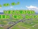 いまさら聞けない農業の「単位」のハナシ。「一反」や「一町歩」ってどういう意味?